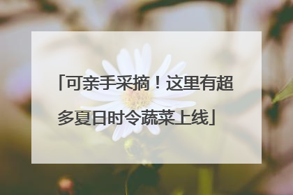 可亲手采摘！这里有超多夏日时令蔬菜上线