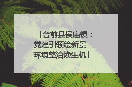 台前县侯庙镇：党建引领绘新景 环境整治焕生机