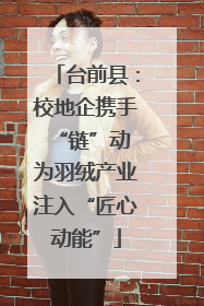 台前县：校地企携手“链”动 为羽绒产业注入“匠心动能”