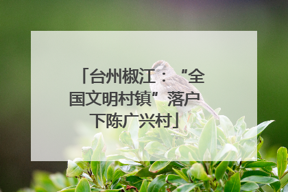 台州椒江：“全国文明村镇”落户下陈广兴村