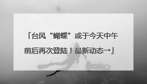 台风“蝴蝶”或于今天中午前后再次登陆！最新动态→