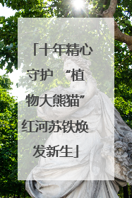 十年精心守护 “植物大熊猫”红河苏铁焕发新生