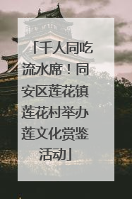千人同吃流水席！同安区莲花镇莲花村举办莲文化赏鉴活动
