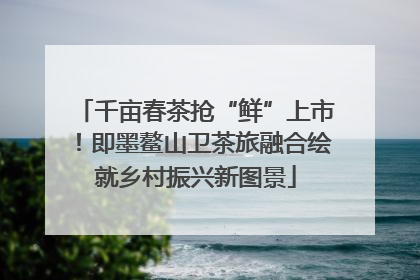 千亩春茶抢“鲜”上市！即墨鳌山卫茶旅融合绘就乡村振兴新图景