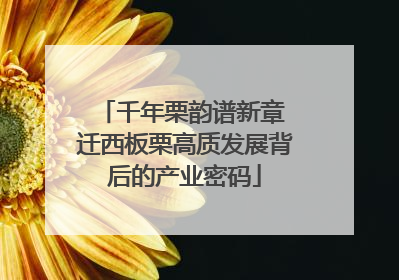 千年栗韵谱新章 迁西板栗高质发展背后的产业密码
