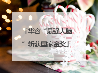 华容“最强大脑”斩获国家金奖