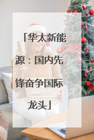 华太新能源：国内先锋奋争国际龙头