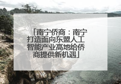 南宁侨商：南宁打造面向东盟人工智能产业高地给侨商提供新机遇