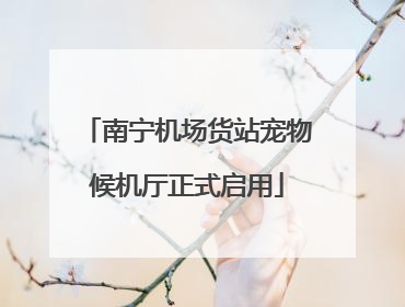南宁机场货站宠物候机厅正式启用