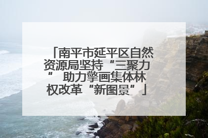 南平市延平区自然资源局坚持“三聚力” 助力擎画集体林权改革“新图景”