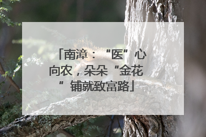 南漳：“医”心向农，朵朵“金花”铺就致富路