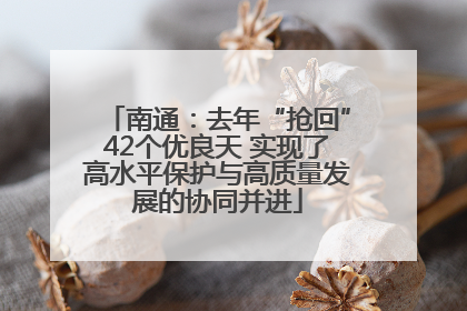南通：去年“抢回”42个优良天 实现了高水平保护与高质量发展的协同并进