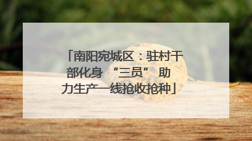南阳宛城区：驻村干部化身 “三员” 助力生产一线抢收抢种