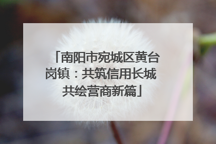 南阳市宛城区黄台岗镇：共筑信用长城 共绘营商新篇
