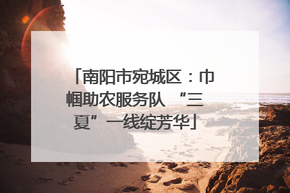 南阳市宛城区：巾帼助农服务队 “三夏”一线绽芳华