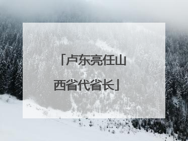 卢东亮任山西省代省长