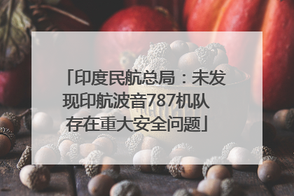 印度民航总局：未发现印航波音787机队存在重大安全问题