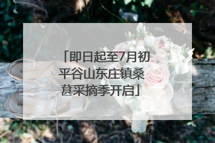 即日起至7月初 平谷山东庄镇桑葚采摘季开启