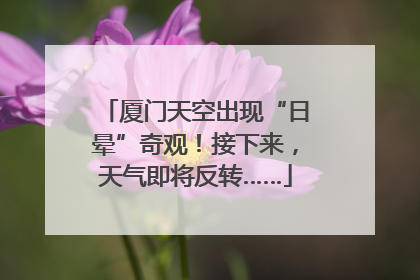 厦门天空出现“日晕”奇观！接下来，天气即将反转……