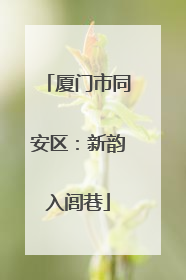 厦门市同安区：新韵入闾巷