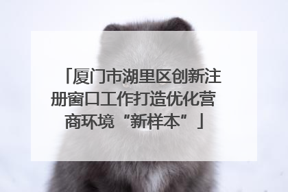 厦门市湖里区创新注册窗口工作打造优化营商环境“新样本”