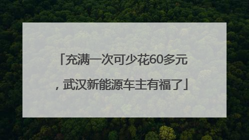 充满一次可少花60多元，武汉新能源车主有福了