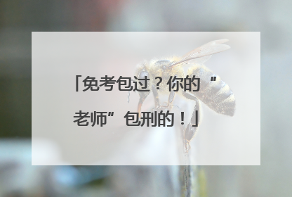 免考包过？你的“老师”包刑的！