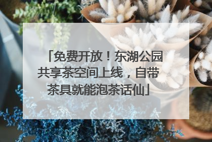 免费开放！东湖公园共享茶空间上线，自带茶具就能泡茶话仙