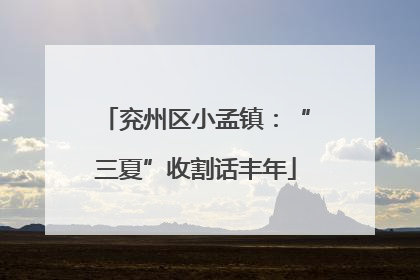 兖州区小孟镇：“三夏”收割话丰年