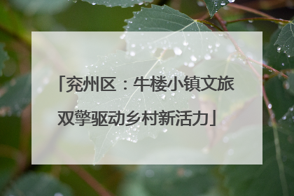 兖州区：牛楼小镇文旅双擎驱动乡村新活力