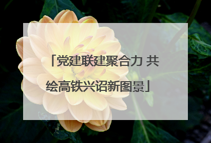 党建联建聚合力 共绘高铁兴诏新图景