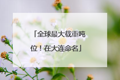 全球最大载重吨位！在大连命名