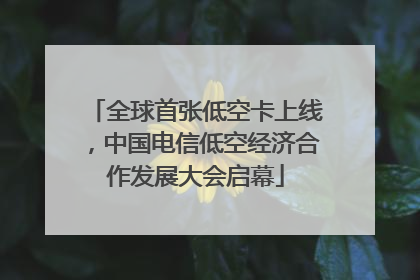 全球首张低空卡上线，中国电信低空经济合作发展大会启幕