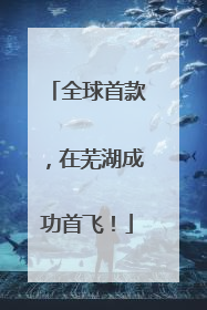 全球首款，在芜湖成功首飞！
