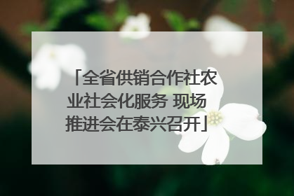 全省供销合作社农业社会化服务 现场推进会在泰兴召开