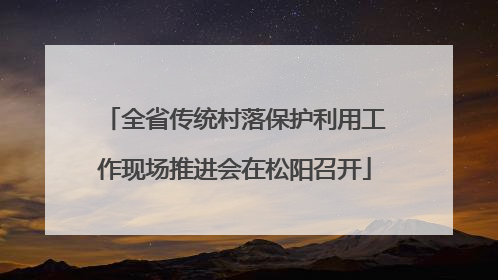 全省传统村落保护利用工作现场推进会在松阳召开