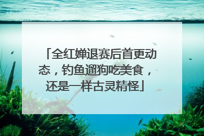 全红婵退赛后首更动态，钓鱼遛狗吃美食，还是一样古灵精怪