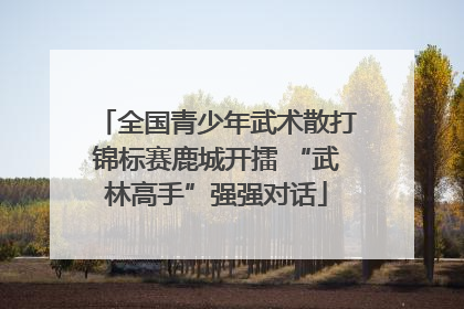 全国青少年武术散打锦标赛鹿城开擂 “武林高手”强强对话