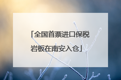 全国首票进口保税岩板在南安入仓