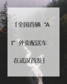 全国首辆“AI”外卖配送车在武汉首发