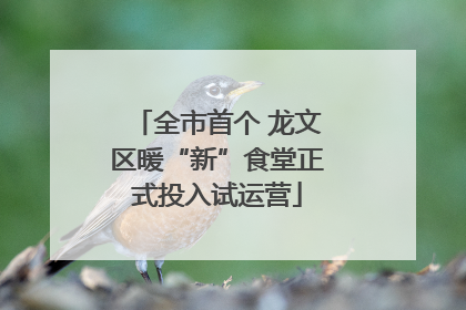 全市首个 龙文区暖“新”食堂正式投入试运营