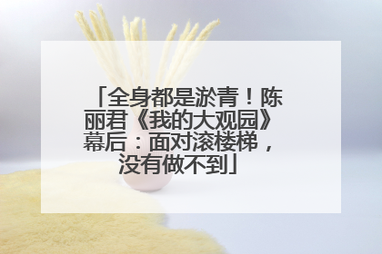 全身都是淤青！陈丽君《我的大观园》幕后：面对滚楼梯，没有做不到