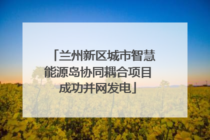 兰州新区城市智慧能源岛协同耦合项目成功并网发电