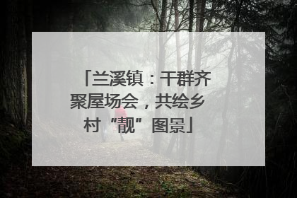 兰溪镇：干群齐聚屋场会，共绘乡村“靓”图景