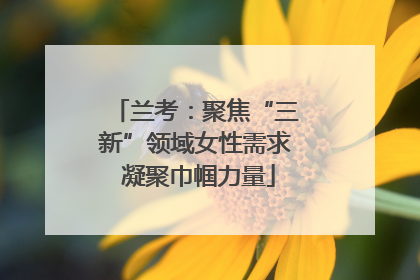 兰考：聚焦“三新”领域女性需求 凝聚巾帼力量