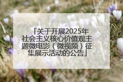 关于开展2025年社会主义核心价值观主题微电影（微视频）征集展示活动的公告