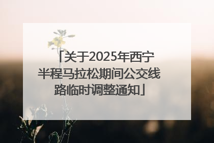 关于2025年西宁半程马拉松期间公交线路临时调整通知