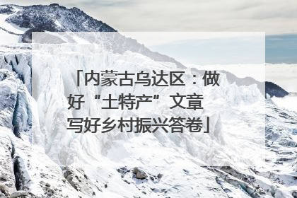 内蒙古乌达区：做好“土特产”文章 写好乡村振兴答卷