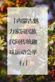 内蒙古魅力家园民族民间传统趣味运动会举行