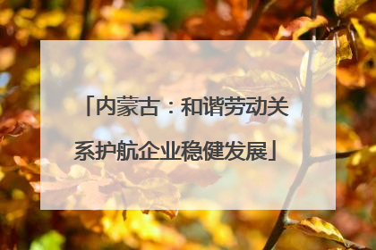 内蒙古：和谐劳动关系护航企业稳健发展